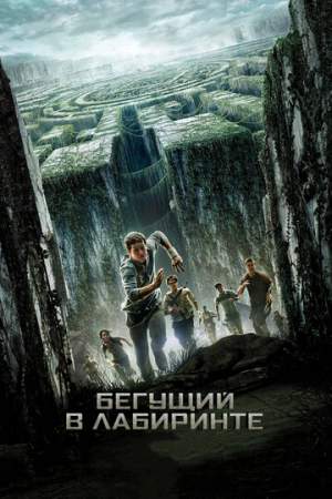 Бегущий в лабиринте онлайн